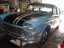 Shelby-115.JPG
