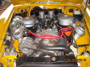 Shelby-190.JPG