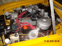 Shelby-191.JPG